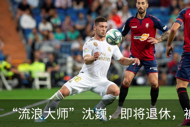 “流浪大师”沈巍，即将退休，被封号