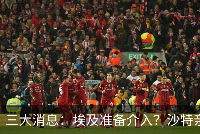 三大消息：埃及准备介入？沙特亲王求助中国，南部地区打响保卫战