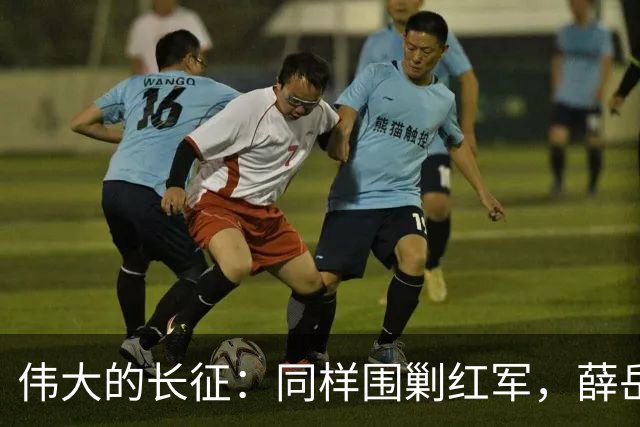 伟大的长征：同样围剿红军，薛岳、吴奇伟、周浑元的结局为何不同