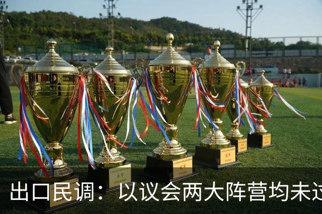 出口民调：以议会两大阵营均未过半 组阁有悬念
