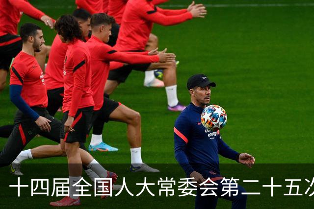 十四届全国人大常委会第二十五次会议11月2日至6日在京举行
