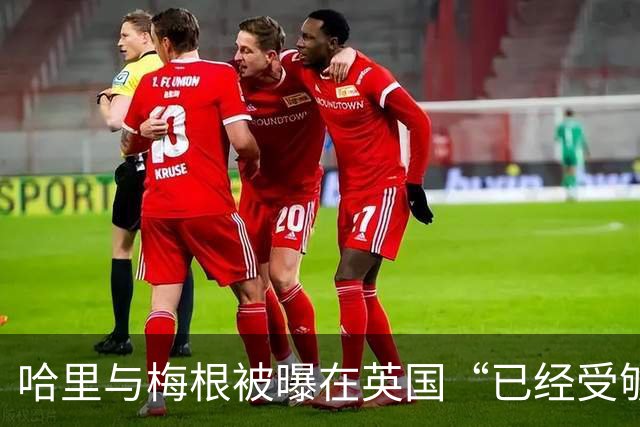 哈里与梅根被曝在英国“已经受够了”，坦言想念美国加州的“家”
