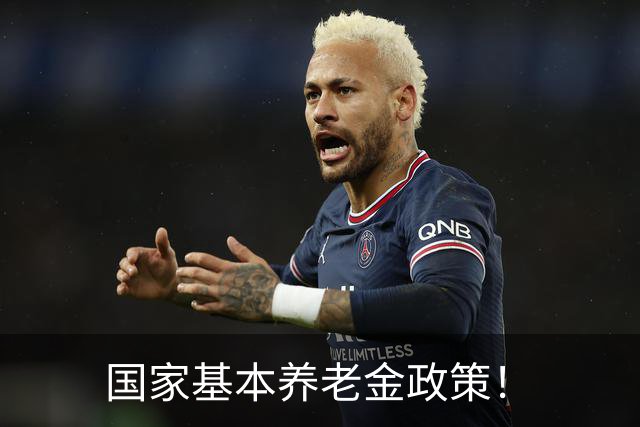 国家基本养老金政策！