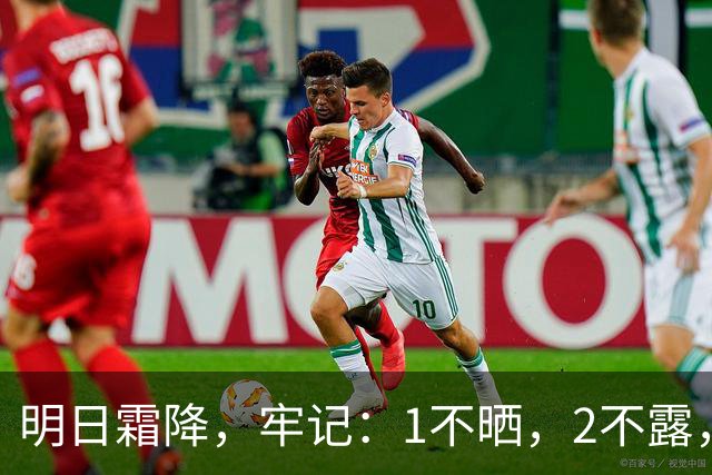 明日霜降，牢记：1不晒，2不露，3不碰，4要吃，安康纳福，润燥防寒过深秋，为入冬做准备