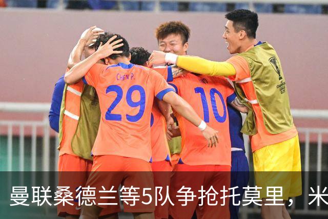 曼联桑德兰等5队争抢托莫里，米兰愿套现