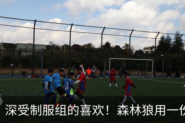 深受制服组的喜欢！森林狼用一份双向合同签回了这位锋线球员？