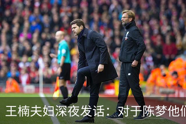 王楠夫妇深夜发话：对于陈梦他们不再慷慨，金牌归属再惹争议