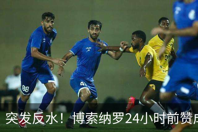 突发反水！博索纳罗24小时前赞成票或是烟雾弹，14个月后就翻脸？