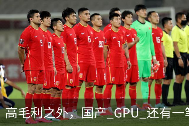 高毛利之外，国产 GPU 还有一笔 “软件账”