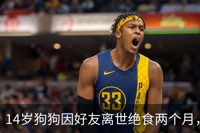 14岁狗狗因好友离世绝食两个月，主人急坏了，特地准备了一顿烤肉，没想到剧情直接反转！